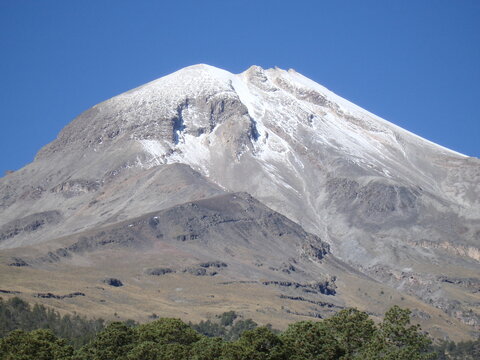 El pico en su espendor