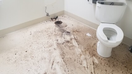 broken toilet bowl in the ruined dirty bathroom