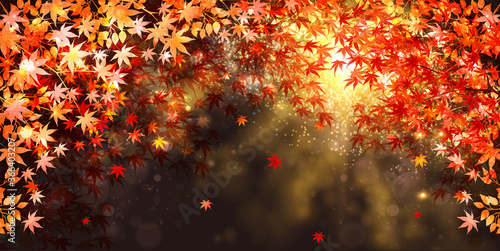 紅葉 もみじ 秋 背景 Wall Mural Wallpaper Murals J Boy 紅葉 もみじ 秋 背景 Wall Mural Wallpaper Murals J Boy