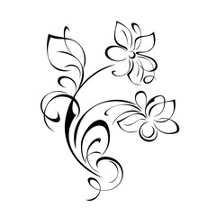 ornament 1239. decorative element with stylized flowers, leaf and curls in black lines on a white background