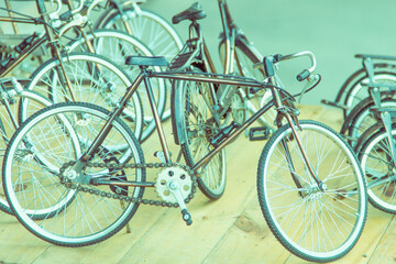 bicycle models-Vintage filter