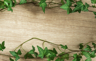 Plant and wood grain background material. Ivy frame material.  植物と木目の背景素材。アイビーのフレーム素材
