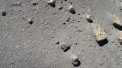 footprint in the sand