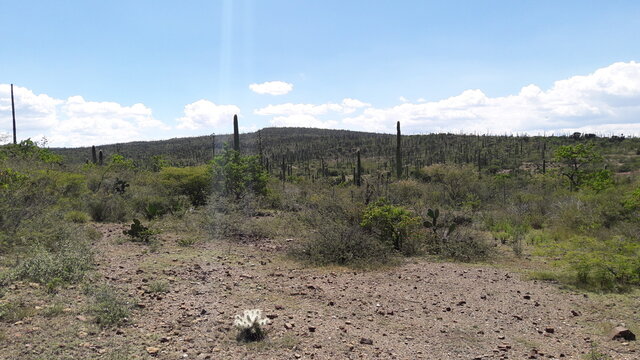 
desert Raul G