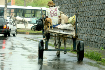 itabuna, bahia / brazil - april 13, 2012: animal-drawn wagon is seen moving around the city of...