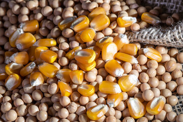 soybean and corn seeds on jute background in Brazil