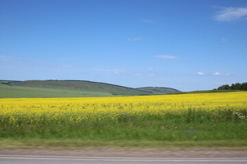 Fototapeta premium beautiful landscape, mountains with flowers and natural landscape on the way to travel