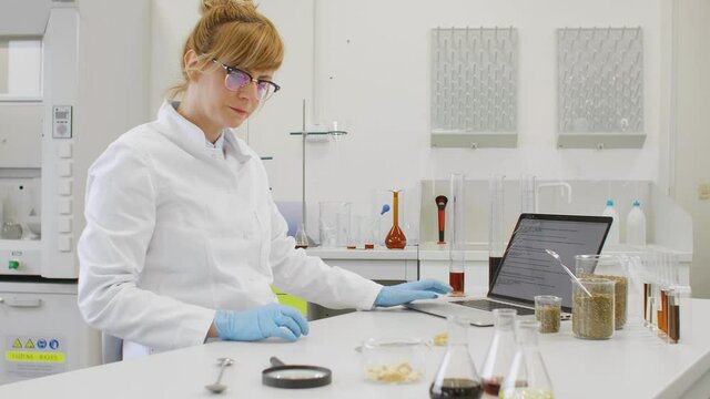 Chemist working with hemp CBD oil in laboratory and writing results in laptop.