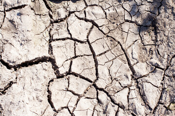 Black soil ground which is drying up and cracking due to lack of rain