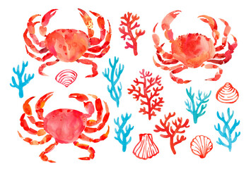 Collection of sea symbols: crabs, corals, shells. Hand drawn watercolor illustration in white. Isolated