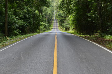Fototapeta na wymiar Road in National park with forest and mountain, Khao Yai national park, Thailand 