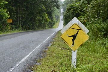 Warning sign, Beware Animal and Monkeys at Khao Yai national park, Thailand