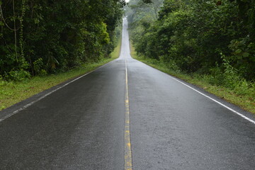 Road in National park with forest and mountain, Khao Yai national park, Thailand 