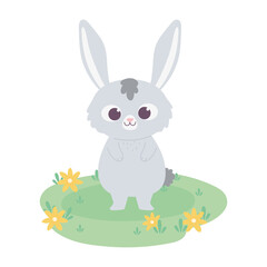 cute little bunny cartoon animal adorable with flowers in grass