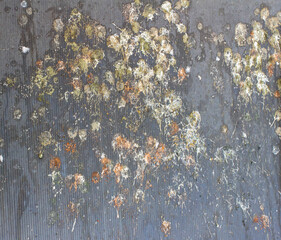 Bird dropping on roof , dirty roof,bird poop