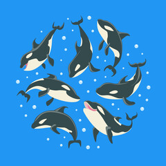 Killer Whales Pattern of Round Shape, Grampus or Orcinus Orca Whale Marine Predatory Fish Vector Illustration
