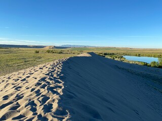 Fototapeta premium road in the field
