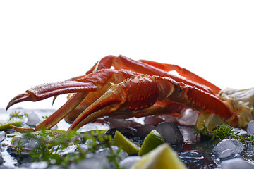 Fresh crab claws, lime, spices, spices, ice, shrimp, vegetables on a light background.