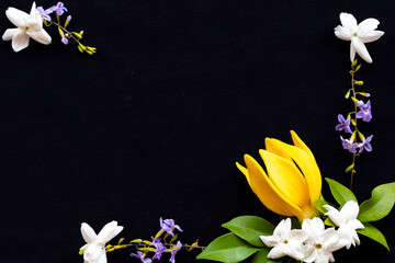 yellow flowers ylang ylang ,jasmine and purple flowers local flora of asia in spring season arrangement  flat lay postcard style on background black