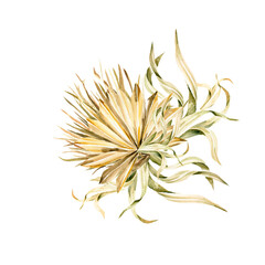 Watercolor boho summer elegant arrangement with hand painted tropical dried palm leaves, branches of green grass. Romantic floral bouquet perfect for fabric textile, wedding greeting cards