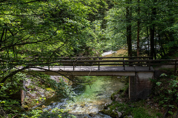 Sommerlicher Weissbach und Weissbachschlucht bei Schneizlreuth im Berchtesgadener Land, Bayern