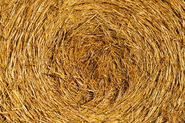 Large dried bale of hay nearby