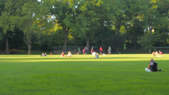 blurry photo of unrecognized people hanging out at central park NYC 