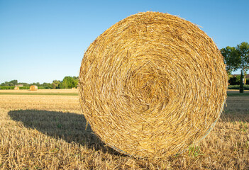 Large dried bale of hay on the background of the sky and trees