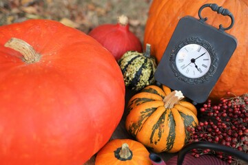 Autumn time. Thanksgiving holiday. Pumpkin harvest. Vintage black clock, pumpkin assortment on...