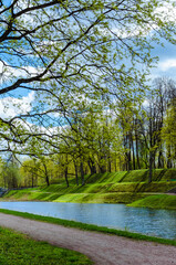 Young green spring foliage, illuminated by the sun in the cascade Park on the lake against the blue sky