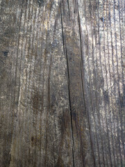 Obraz premium old wood texture