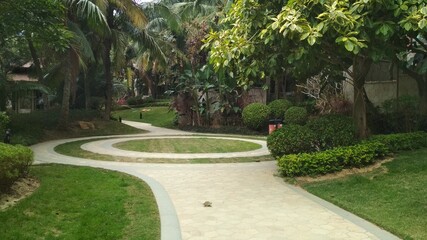 A beautiful park in China. Clean paths and green palms and trees around.