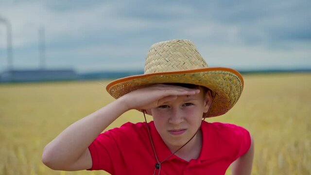 Boy resting on wheat field. Boy in straw hat standing in wheat field