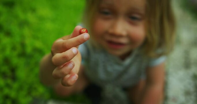Preschooler picking wild strawberies from stairs