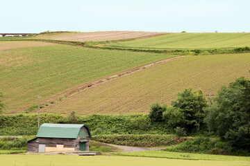 Obraz premium 北海道美瑛の風景 なだらかな丘