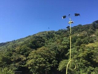 田舎の夏