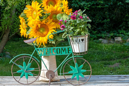 Fahrrad mit Sonnenblumen und Text Welcome