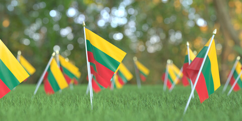 Flags of Lithuania in the grass. National holiday related 3D rendering