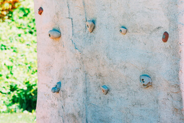 empty climbing wall in the park