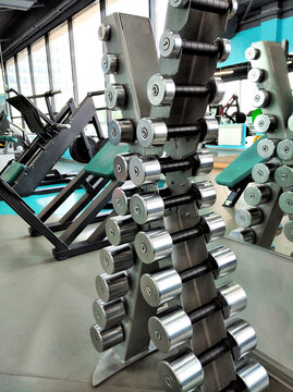 Dumbbells of different weights on stand in modern gym