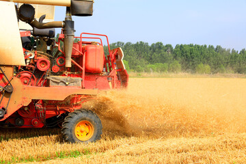 Obraz premium combine harvester working on a wheat field
