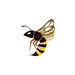 Wasp insect icon vector