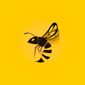 Wasp insect icon vector