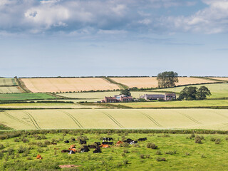 Arable landscape with copy space