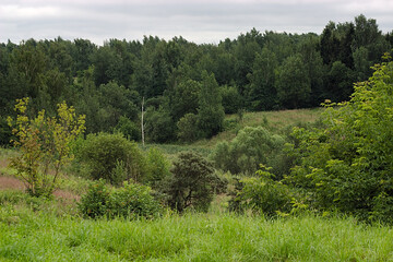 Obraz premium summer green landscape on the outskirts of the city