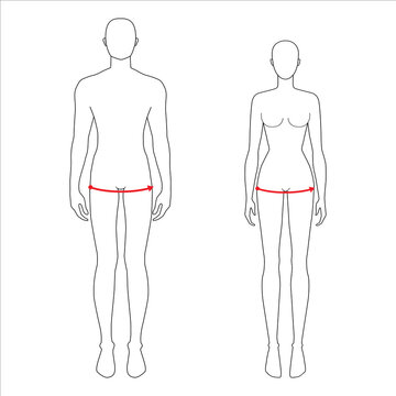Women and men to do hip measurement fashion Illustration for size chart. 7.5 head size girl and boy for site or online shop. Human body infographic template for clothes. 