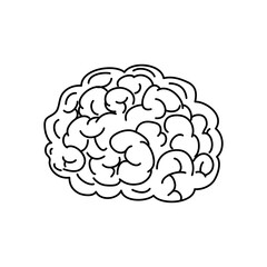 brain icon image, line style