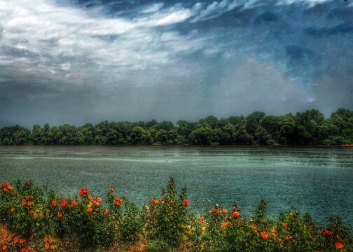 Scenic picturesque landscape of Danube river bank 