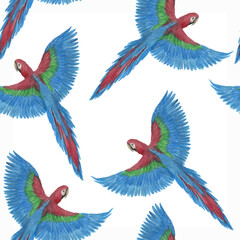 Obraz premium Watercolor painting seamless pattern with beautiful flying parrots