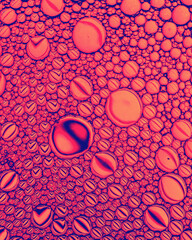 Top view on colorful drops of oil on the water. Circles and ovals. Abstract red background for...